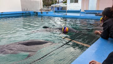 ゼロ距離水族館 伊勢シーパラダイスに投稿された画像（2022/11/19）