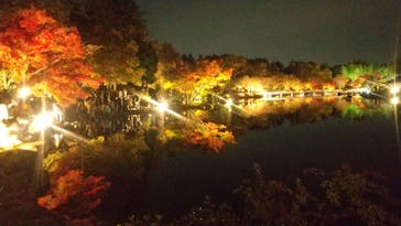 国営昭和記念公園 秋の夜散歩に投稿された画像（2022/11/19）