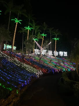 美らヤシパークオキナワ・東南植物楽園に投稿された画像（2022/11/19）