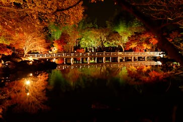 国営昭和記念公園 秋の夜散歩に投稿された画像（2022/11/19）