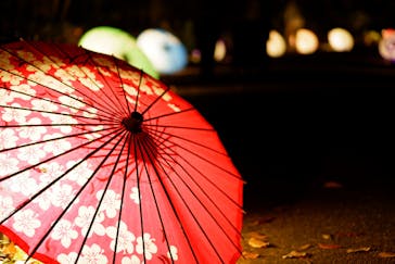 国営昭和記念公園 秋の夜散歩に投稿された画像（2022/11/19）