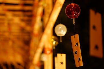 国営昭和記念公園 秋の夜散歩に投稿された画像（2022/11/19）