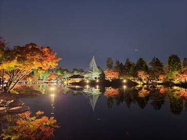 国営昭和記念公園 秋の夜散歩に投稿された画像（2022/11/19）