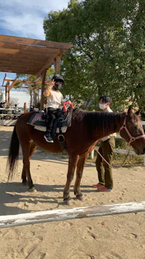 神戸どうぶつ王国に投稿された画像（2022/11/19）