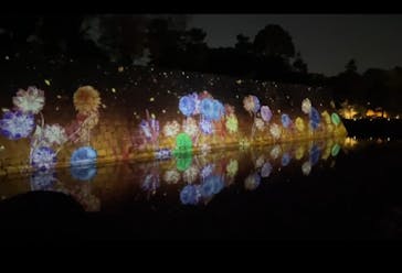 NAKED FLOWERS 2022 秋 世界遺産・二条城に投稿された画像（2022/11/19）