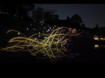 NAKED FLOWERS 2022 秋 世界遺産・二条城に投稿された画像（2022/11/19）