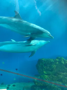 横浜・八景島シーパラダイスに投稿された画像（2022/11/19）