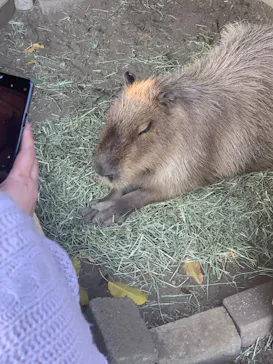 横浜・八景島シーパラダイスに投稿された画像（2022/11/19）