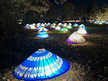 国営昭和記念公園 秋の夜散歩に投稿された画像（2022/11/19）