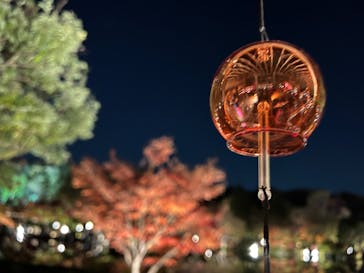 国営昭和記念公園 秋の夜散歩に投稿された画像（2022/11/19）