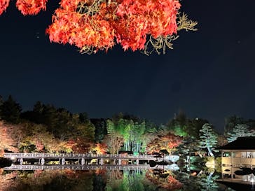 国営昭和記念公園 秋の夜散歩に投稿された画像（2022/11/19）