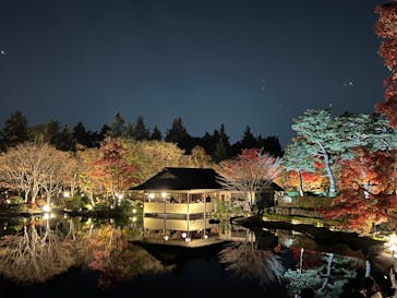 国営昭和記念公園 秋の夜散歩に投稿された画像（2022/11/19）