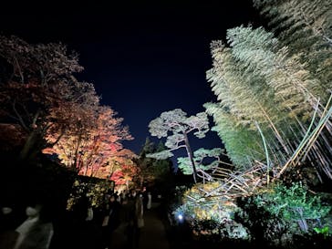 国営昭和記念公園 秋の夜散歩に投稿された画像（2022/11/19）