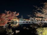 国営昭和記念公園 秋の夜散歩に投稿された画像（2022/11/19）