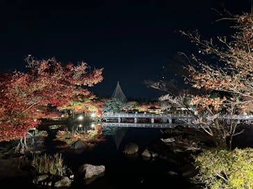 国営昭和記念公園 秋の夜散歩に投稿された画像（2022/11/19）