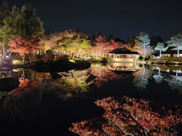 国営昭和記念公園 秋の夜散歩に投稿された画像（2022/11/19）