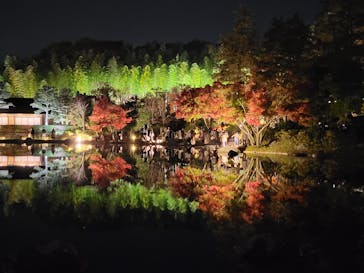 国営昭和記念公園 秋の夜散歩に投稿された画像（2022/11/19）