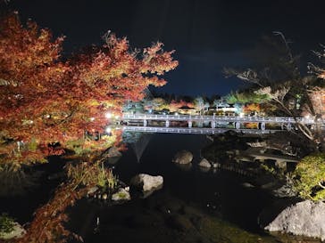 国営昭和記念公園 秋の夜散歩に投稿された画像（2022/11/19）