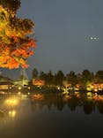 国営昭和記念公園 秋の夜散歩に投稿された画像（2022/11/19）