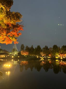 国営昭和記念公園 秋の夜散歩に投稿された画像（2022/11/19）