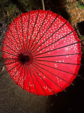 国営昭和記念公園 秋の夜散歩に投稿された画像（2022/11/19）