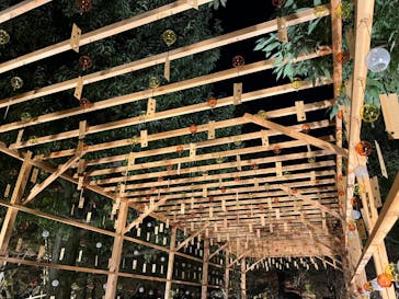 国営昭和記念公園 秋の夜散歩に投稿された画像（2022/11/19）