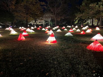 国営昭和記念公園 秋の夜散歩に投稿された画像（2022/11/19）