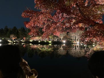 国営昭和記念公園 秋の夜散歩に投稿された画像（2022/11/19）