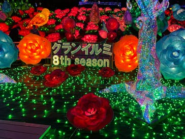 伊豆ぐらんぱる公園に投稿された画像（2022/11/19）