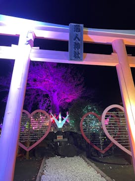 伊豆ぐらんぱる公園に投稿された画像（2022/11/19）