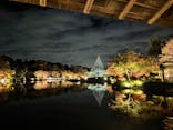 国営昭和記念公園 秋の夜散歩に投稿された画像（2022/11/19）