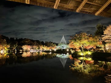 国営昭和記念公園 秋の夜散歩に投稿された画像（2022/11/19）