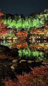 国営昭和記念公園 秋の夜散歩に投稿された画像（2022/11/19）