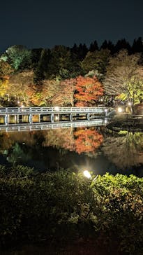 国営昭和記念公園 秋の夜散歩に投稿された画像（2022/11/19）