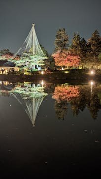 国営昭和記念公園 秋の夜散歩に投稿された画像（2022/11/19）