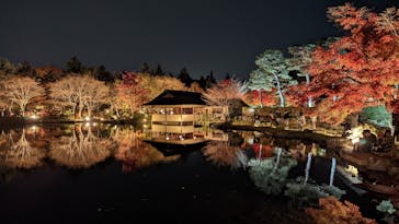 国営昭和記念公園 秋の夜散歩に投稿された画像（2022/11/19）