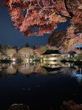国営昭和記念公園 秋の夜散歩に投稿された画像（2022/11/19）