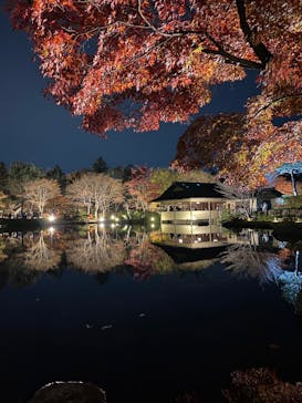 国営昭和記念公園 秋の夜散歩に投稿された画像（2022/11/19）