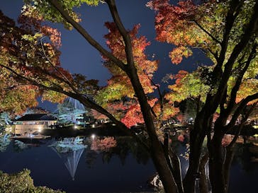 国営昭和記念公園 秋の夜散歩に投稿された画像（2022/11/19）