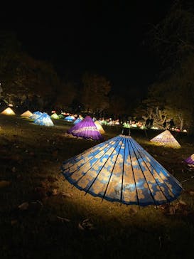 国営昭和記念公園 秋の夜散歩に投稿された画像（2022/11/19）