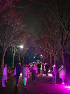 国営昭和記念公園 秋の夜散歩に投稿された画像（2022/11/19）