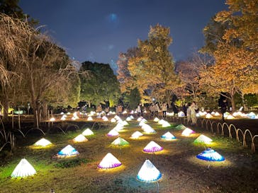 国営昭和記念公園 秋の夜散歩に投稿された画像（2022/11/19）