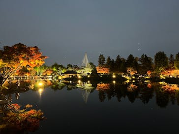 国営昭和記念公園 秋の夜散歩に投稿された画像（2022/11/19）