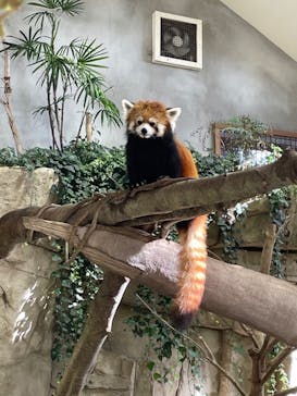 那須どうぶつ王国に投稿された画像（2022/11/19）