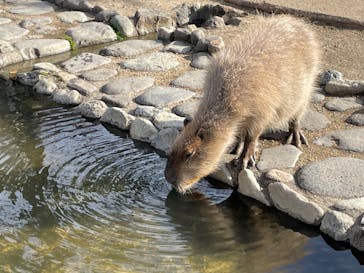 那須どうぶつ王国に投稿された画像（2022/11/19）