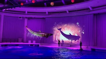 アクアワールド茨城県大洗水族館に投稿された画像（2022/11/19）