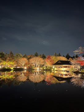 国営昭和記念公園 秋の夜散歩に投稿された画像（2022/11/19）