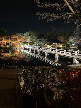 国営昭和記念公園 秋の夜散歩に投稿された画像（2022/11/19）