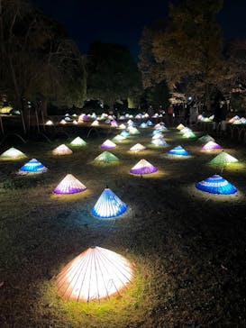 国営昭和記念公園 秋の夜散歩に投稿された画像（2022/11/19）