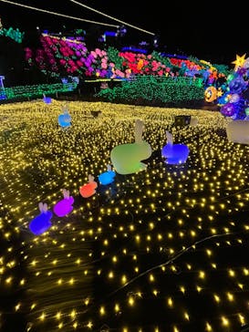 伊豆ぐらんぱる公園に投稿された画像（2022/11/19）